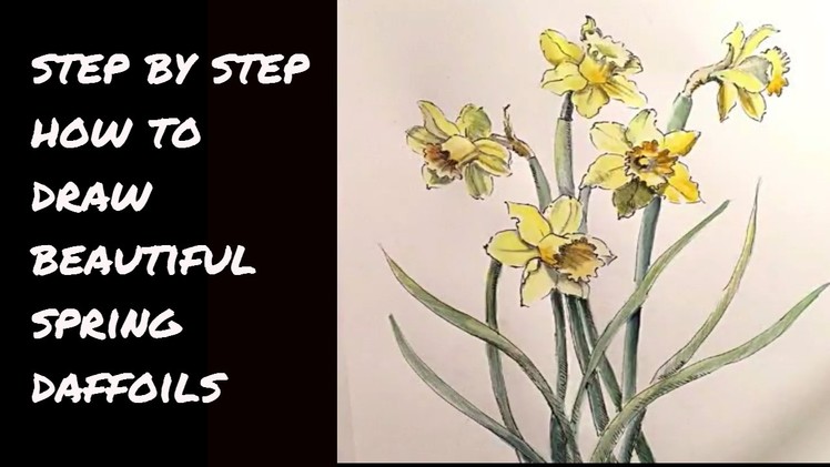 How to Draw a Dance of Daffodils at MIMI'S SKETCHBOOK