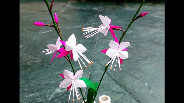 Paper Flower beeblossom \ Gaura Lindheimeri (flower # 144)