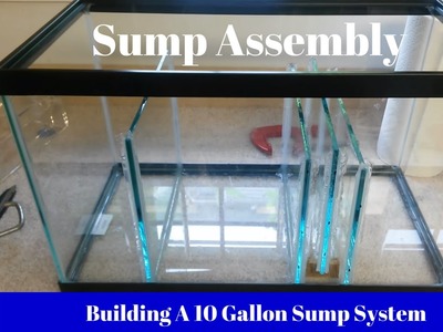 Building A 10G Sump System (Sump Assembly)