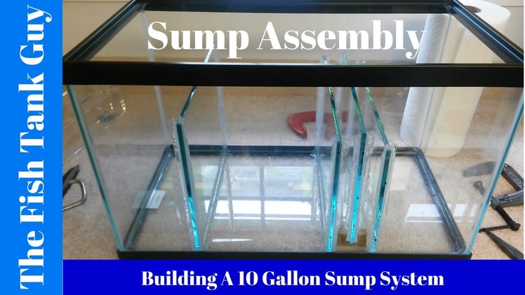 Building A 10G Sump System (Sump Assembly)