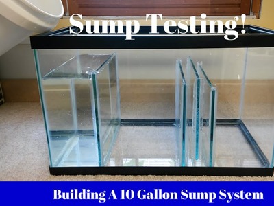 Building A 10G Sump System (Sump Testing)