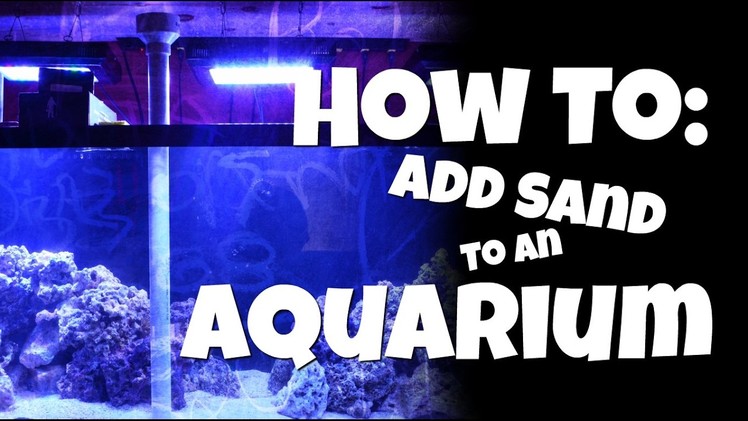 How to Add Sand to an Aquarium