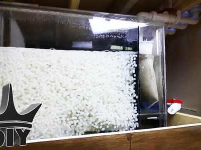 HOW TO: Build aquarium sump filtration system - moving bed