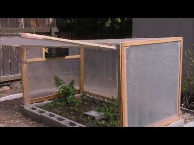 Mini backyard greenhouse