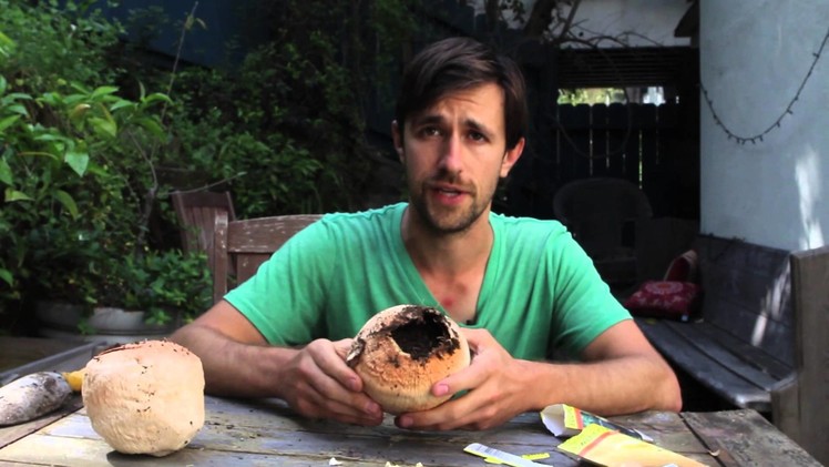 One Minute Tips: How To Plant A Seed Using A Coconut (with Ben Gould)