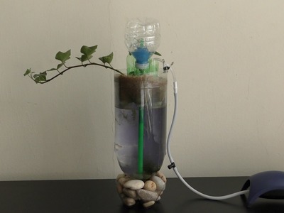 Air pump water filtering bottle aquarium