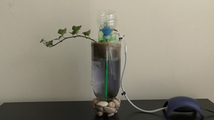 Air pump water filtering bottle aquarium