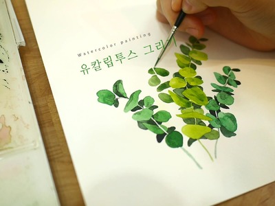 Eucalyptus Watercolor Painting - 유칼립투스 수채화 그리기