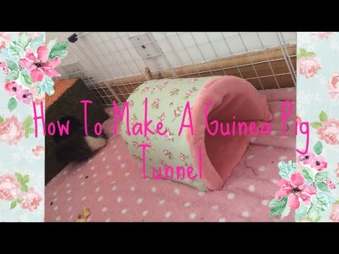 How to make a guinea pig tunnel | BasicallyPets
