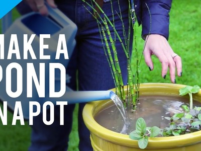 How to make a pond in a pot