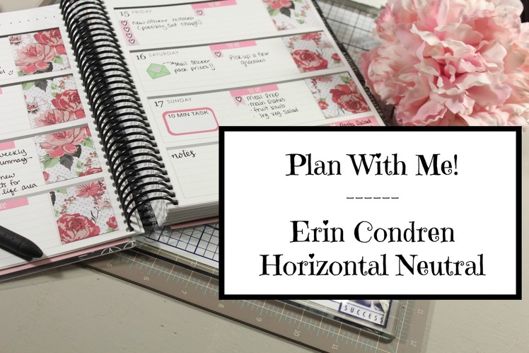 Plan With Me: Erin Condren Planner Horizontal Neutral #2
