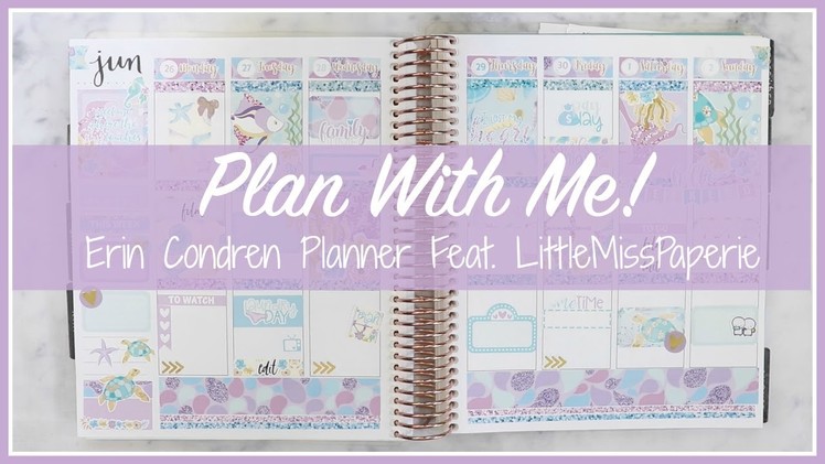 Plan With Me. Erin Condren. Featuring LittleMissPaperie