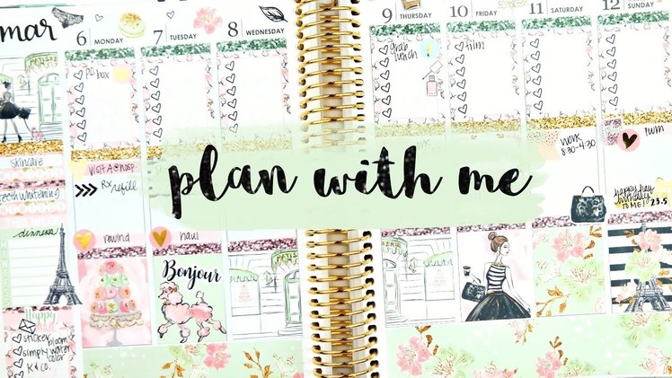 Plan with Me: Mints & Macarons