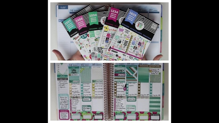 Plan With Me! *November 14 - 22* ~Using All Happy Planner Sticker Books~