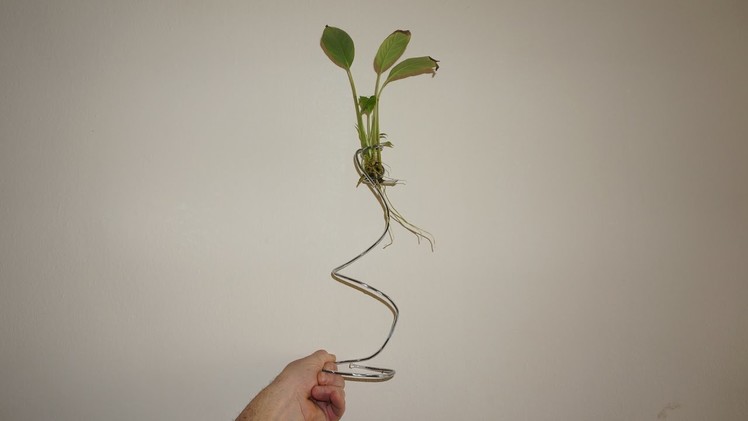 Plant holder of wire hanger for aquarium