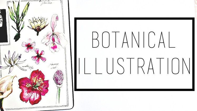 Watercolour Flower Studies · 30 Ways to Fill a Sketchbook · SemiSkimmedMin