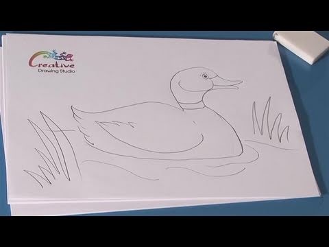 How To Learn To Draw A Duck