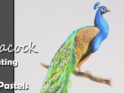 How to Paint A Peacock with Oil Pastels | step by step