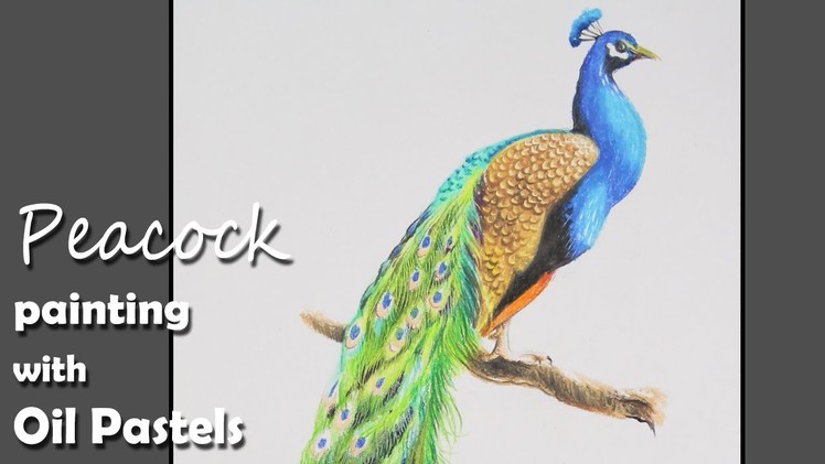 How to Paint A Peacock with Oil Pastels | step by step