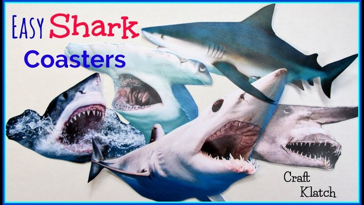Easy Shark Trivia Coasters for Shark Week! ~ Another Coaster Friday ~ Craft Klatch