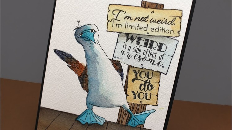 Silly Blue Footed Booby Card