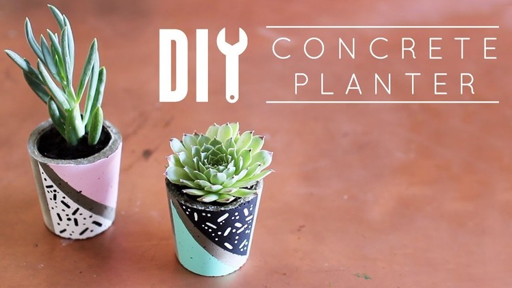 DIY Concrete Planter