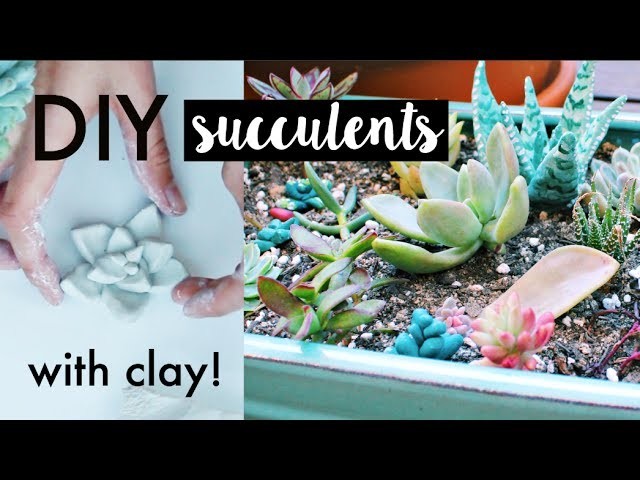 DIY Fake Clay Succulents Tutorial | Natasha Rose