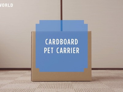 HOW TO CRAFT SAFETY #23 Cardboard pet carrier