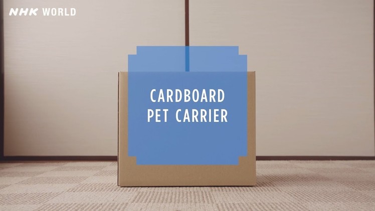 HOW TO CRAFT SAFETY #23 Cardboard pet carrier
