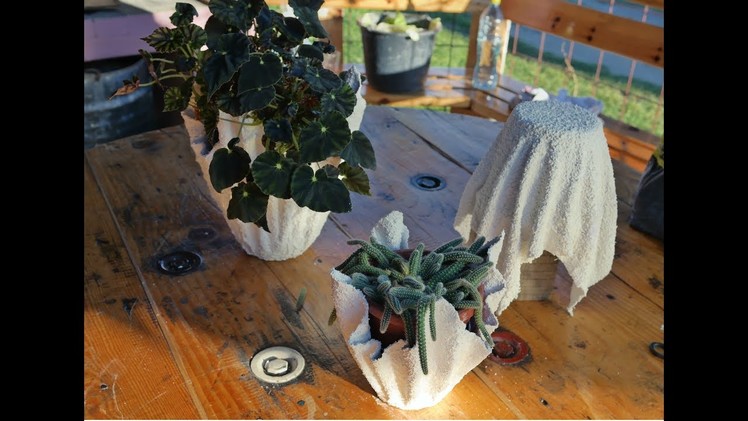 How to make Cement Planters - DIY Cement Planter