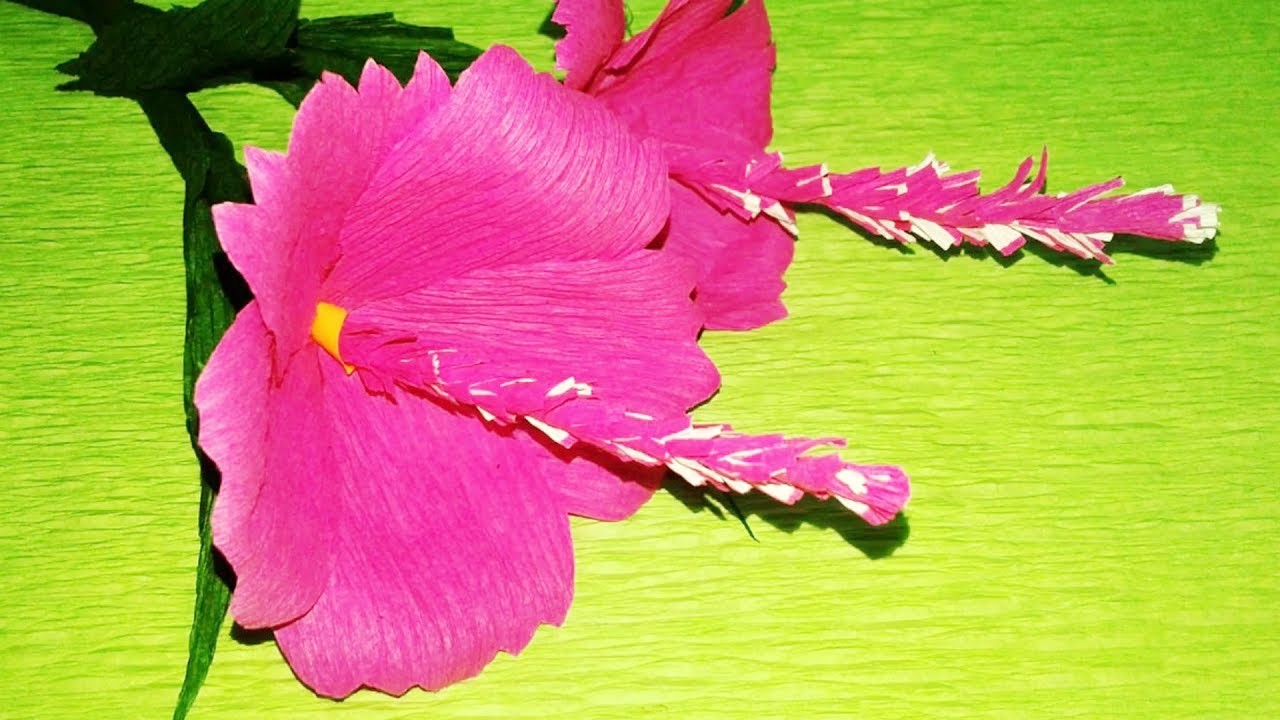 How To Make DIY Hibiscus Paper Flower origami, DIY crepe ...