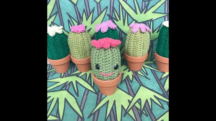Crochet Cactus Tutorial Suitable for Beginners