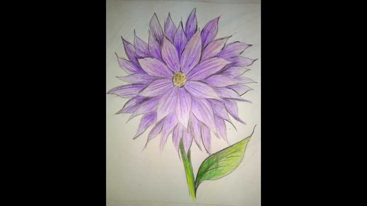 Dahlia|| how to draw a dahlia flower step by step|| flower|| very easy to draw dahlia|| flower