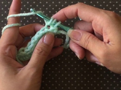 Half Double Crochet into the Back Loops Only (BLO)