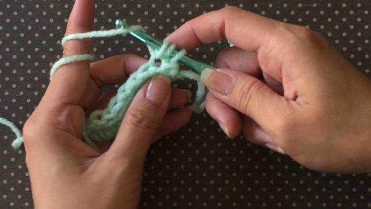 Half Double Crochet into the Back Loops Only (BLO)
