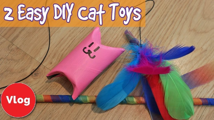 2 Easy DIY Cat Toys! How To Make Simple Cat Toys on a Budget + T-Shirt Competition Results!