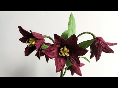 ABC TV | How To Make Chocolate Lily Paper Flower From Crepe Paper - Craft Tutorial