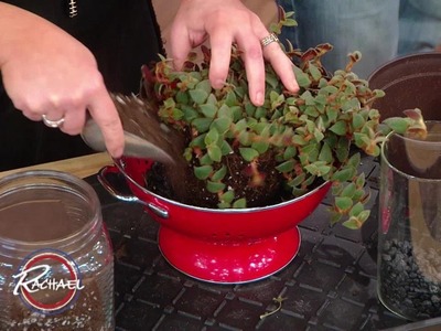 Backyard Hack: How To Make A Hanging Planter Out Of A Colander