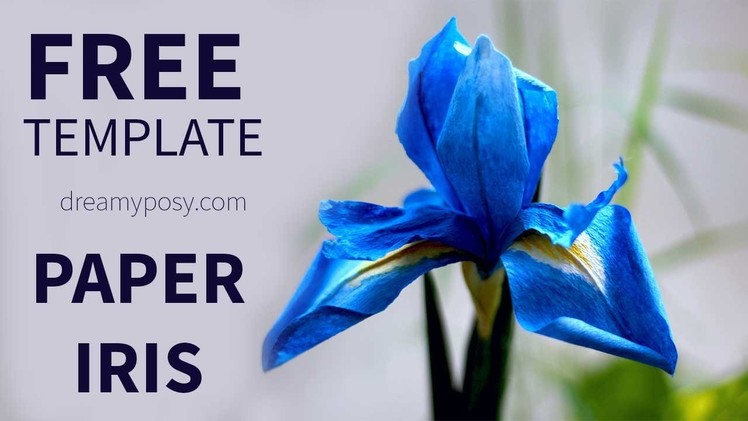 [FREE template and tutorial] How to make paper Iris flower from coffee filter