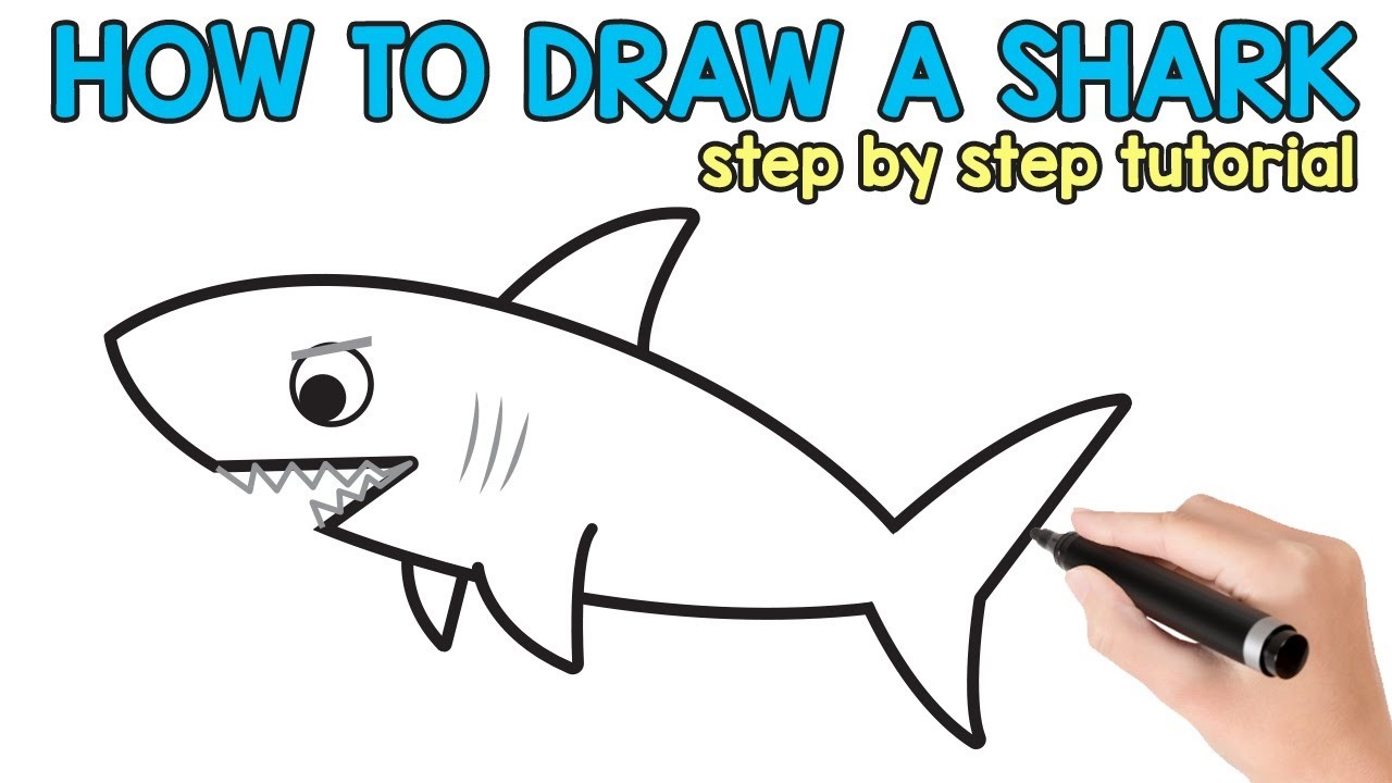 How to Draw a Shark Step By Step tutorial with free printable