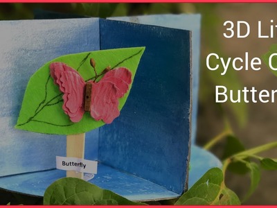 How To Make A 3D Model of Life Cycle Of A Butterfly