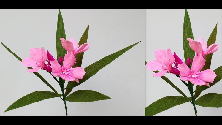 How to make Paper flowers Oleander. Nerium (flower # 179)