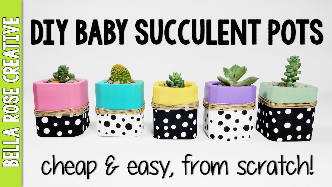 Tiny DIY SUCCULENT Pots from Scratch!  How to make tiny planters for Succulents and Cactus