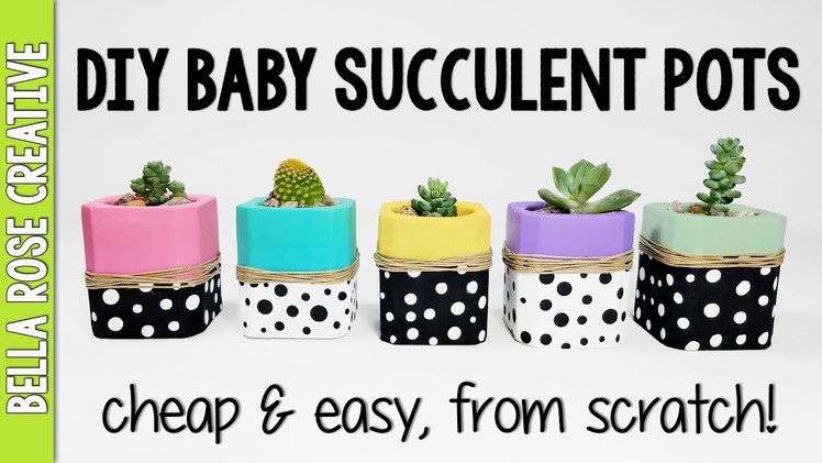 Tiny DIY SUCCULENT Pots from Scratch!  How to make tiny planters for Succulents and Cactus