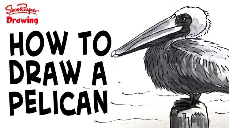 How to draw a pelican - greyscale illustration technique