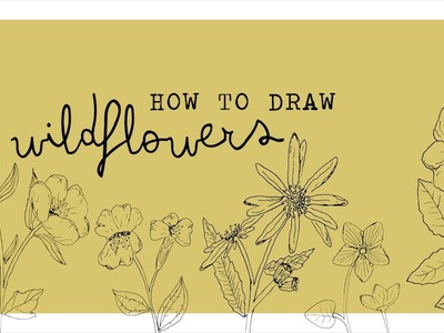 How to draw wildflowers