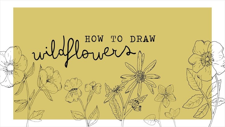 How to draw wildflowers