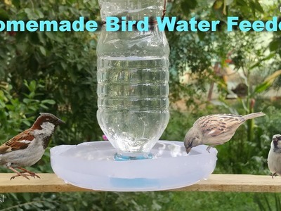 How To Make A Bird Water Feeder | DIY Homemade Plastic Bottle Bird Water Feeder