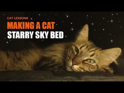 How to Make a Starry Sky Cat Bed