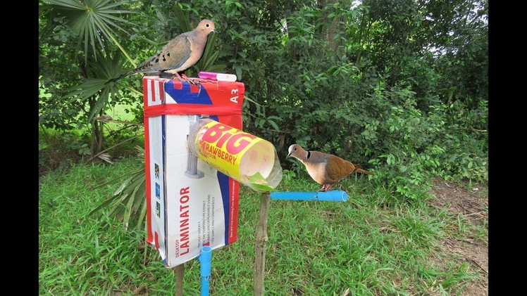 How To Make Bird Trap Using Paper Box With Plastic Bottle That Work 100%